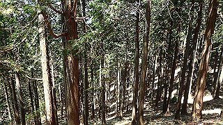 p4302736_thumb.jpg