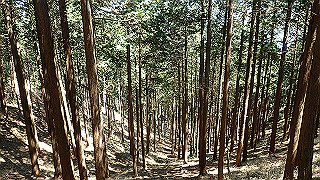 p4302737_thumb.jpg