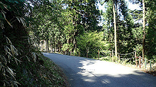 p4302748_thumb.jpg