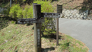 p4302751_thumb.jpg