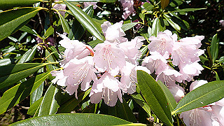 p4302754_thumb.jpg