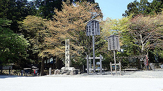 p4302761_thumb.jpg