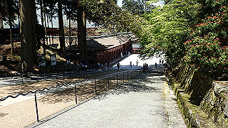 p4302765_thumb.jpg