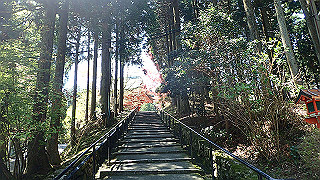 p4302768_thumb.jpg