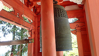 p4302773_thumb.jpg