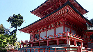 p4302785_thumb.jpg