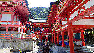 p4302788_thumb.jpg