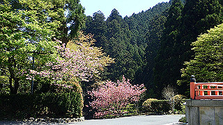 p4302789_thumb.jpg