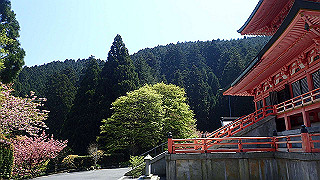 p4302790_thumb.jpg