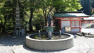 p4302792_thumb.jpg