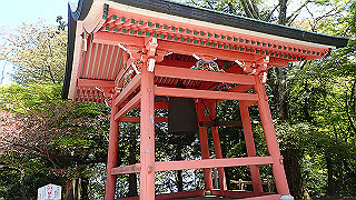 p4302793_thumb.jpg