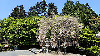 p4302794_thumb.jpg