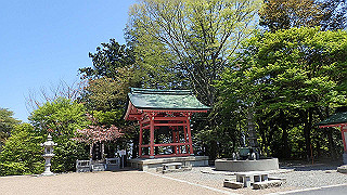 p4302796_thumb.jpg