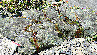 p4302801_thumb.jpg