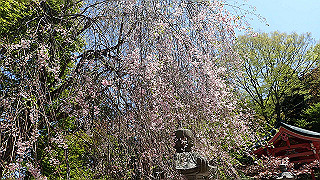 p4302804_thumb.jpg