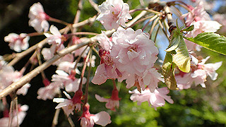 p4302807_thumb.jpg