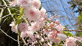 p4302808_thumb.jpg
