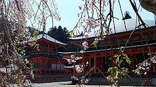 p4302810_thumb.jpg