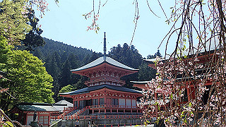 p4302811_thumb.jpg