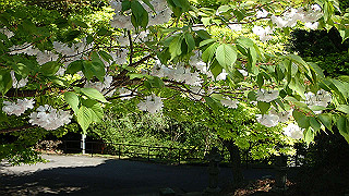 p4302812_thumb.jpg