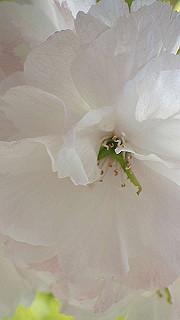 p4302813_thumb.jpg