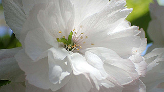 p4302814_thumb.jpg