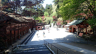 p4302815_thumb.jpg