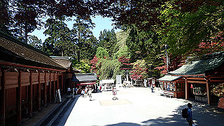 p4302816_thumb.jpg