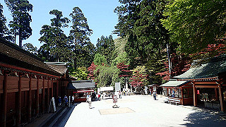 p4302817_thumb.jpg