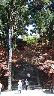 p4302818_thumb.jpg
