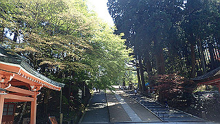 p4302819_thumb.jpg