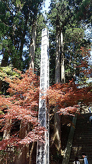 p4302821_thumb.jpg