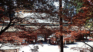 p4302824_thumb.jpg