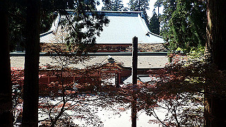 p4302825_thumb.jpg
