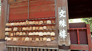 p4302827_thumb.jpg