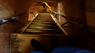 p4302834_thumb.jpg