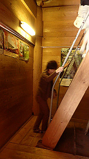 p4302836_thumb.jpg