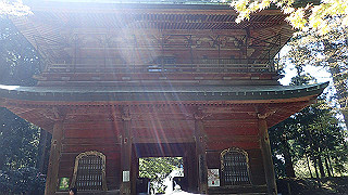 p4302838_thumb.jpg