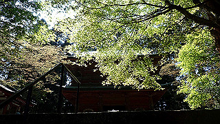 p4302839_thumb.jpg