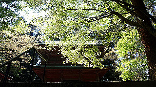 p4302840_thumb.jpg
