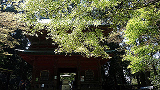 p4302841_thumb.jpg