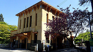 p4302847_thumb.jpg