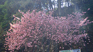 p4302849_thumb.jpg