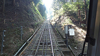 p4302856_thumb.jpg