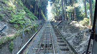 p4302857_thumb.jpg