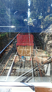 p4302858_thumb.jpg