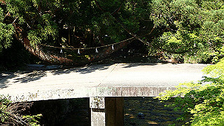 p4302863_thumb.jpg