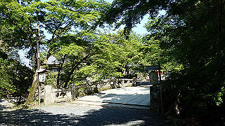 p4302864_thumb.jpg