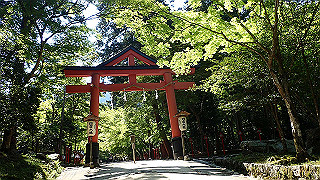 p4302865_thumb.jpg