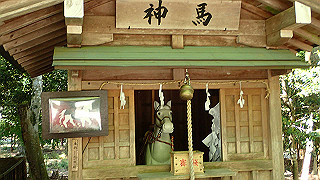 p4302866_thumb.jpg